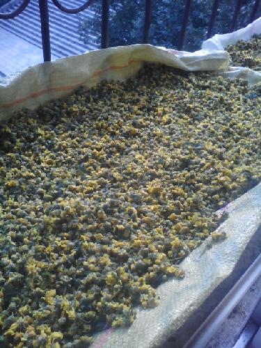 ���Ż�������  �������ս������ջ�������