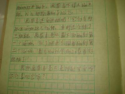 �Ҽҵ�С��ü������