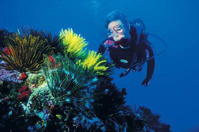 ����Ǳˮ---������ϵ��֮����ͼƬ�ϴ���������