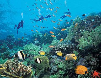 ����Ǳˮ---������ϵ��֮����ͼƬ�ϴ���������