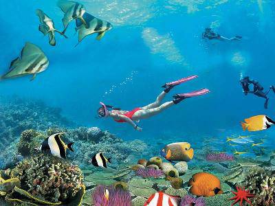 ����Ǳˮ---������ϵ��֮����ͼƬ�ϴ���������