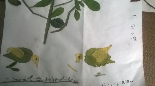 ����������ס��������