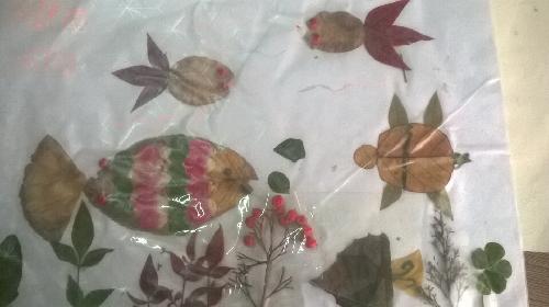 ����������ס��������