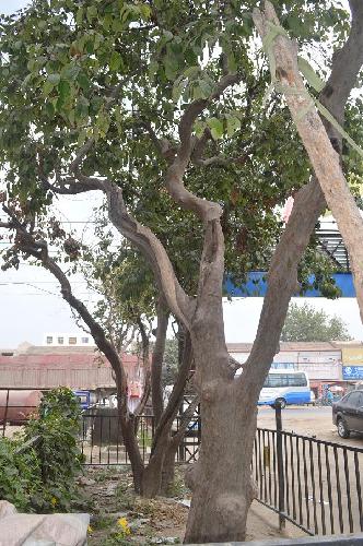 ��������Σ������ļ�ǿ����ľ��������