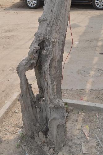 ��������Σ������ļ�ǿ����ľ��������