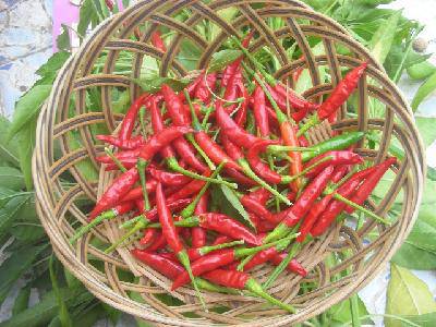 ���ֵ��ջ񣨸�ͼ������