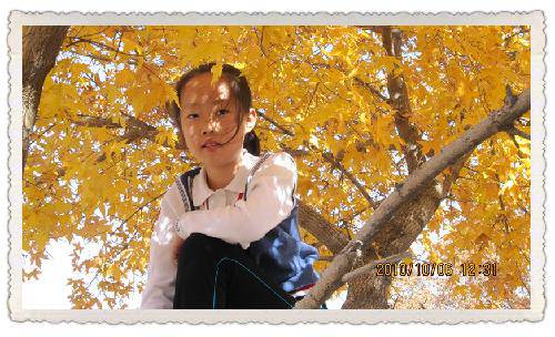 �ɿ���һ����������