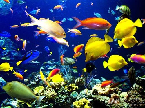 ����Ƭ�η�д����