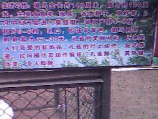 ����԰��������ǰ�������ӵĵ�һƪ�ռ�����