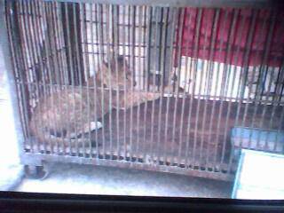 ����԰��������ǰ�������ӵĵ�һƪ�ռ�����