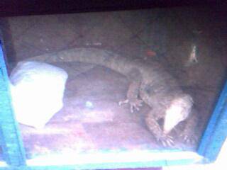 ����԰��������ǰ�������ӵĵ�һƪ�ռ�����