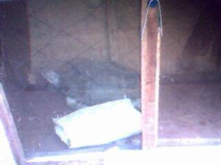 ����԰��������ǰ�������ӵĵ�һƪ�ռ�����