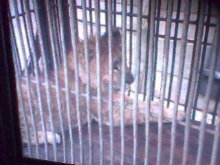 ����԰��������ǰ�������ӵĵ�һƪ�ռ�����