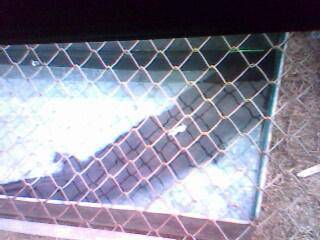 ����԰��������ǰ�������ӵĵ�һƪ�ռ�����