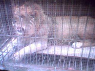 ����԰��������ǰ�������ӵĵ�һƪ�ռ�����