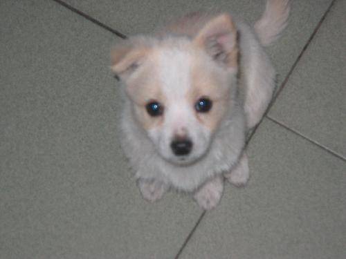 ��С��ϴ������