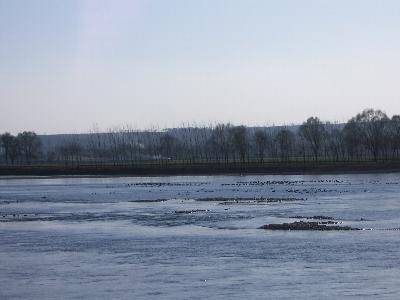 ��ĩ,�ƺӰ��߷ŷ�ȥ����