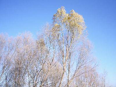 ��ĩ,�ƺӰ��߷ŷ�ȥ����