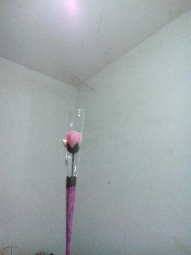 ������Գ�������-���꼶�ҳ���������