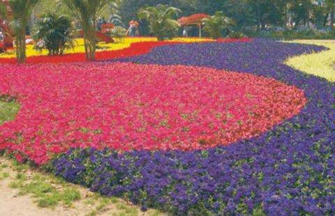 �߽�Ŀѣ���Ե�԰����������