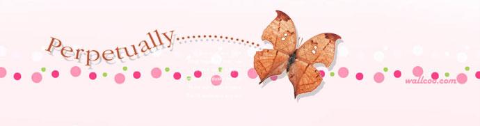 â��  ������������д������