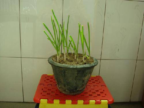 С����۲��ռ�����