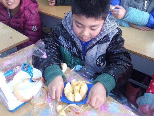 ������ ƽ��������