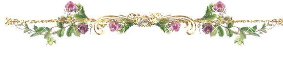 ����•��ʽ��(��ٰ��ţ�����