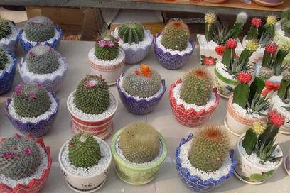 ��������Ц���г�����������