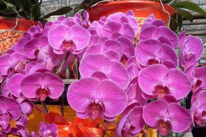 ��������Ц���г�����������