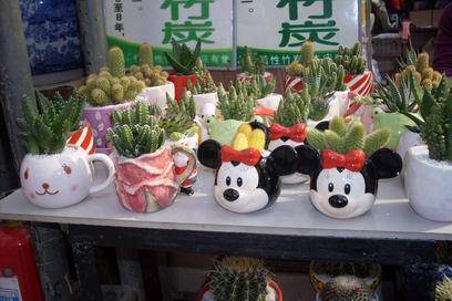 ��������Ц���г�����������