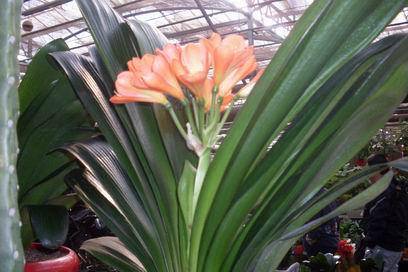 ��������Ц���г�����������