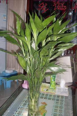 ��������Ц���г�����������