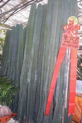 ��������Ц���г�����������