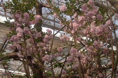 ��������Ц���г�����������