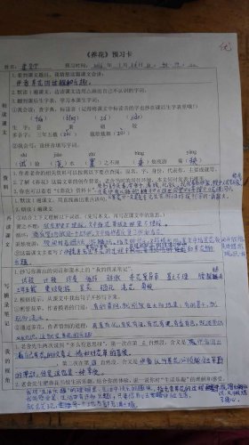 ѧ����д����ʦ�����¡�������Ԥϰ������