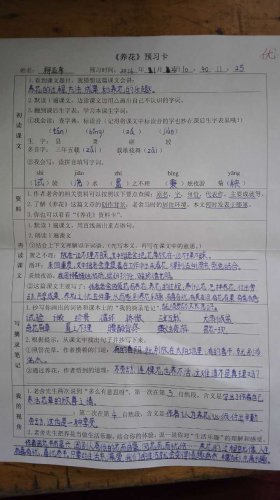 ѧ����д����ʦ�����¡�������Ԥϰ������