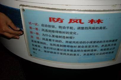 ���οƼ�������