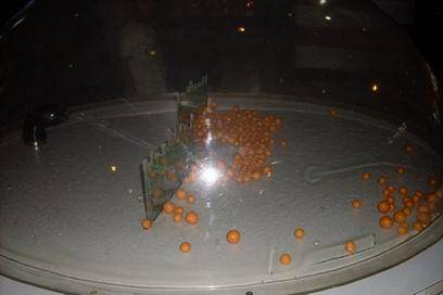 ���οƼ�������