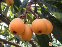 ���˻�������