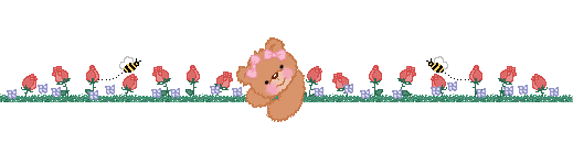 ǳ̸ӵְʾ