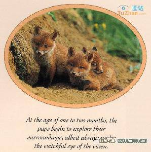 �����������һ�Ρ������︸��Ҳ��ɽ����