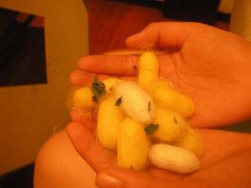 Ů���ľ�������