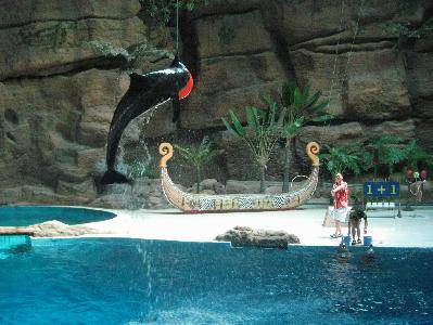 �ιۺ��ݺ�����������