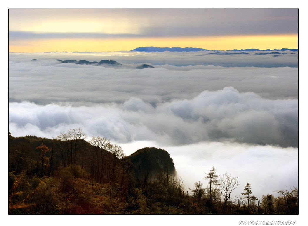 ����׳������