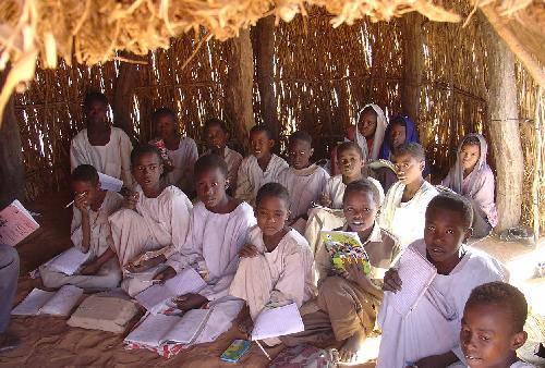 �յ���Сѧ�����������