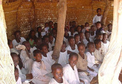 �յ���Сѧ�����������