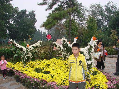 �����ǹ�԰֮��չƪ����