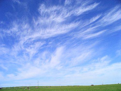 ����Լ��������Ƭ��Ҫ������������~~~����