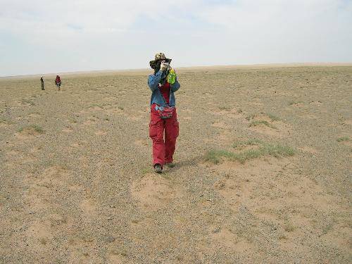 ����Լ��������Ƭ��Ҫ������������~~~����